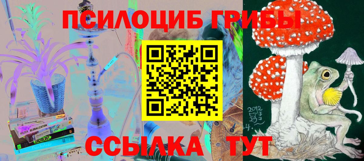 Псилоцибиновые грибы прущие грибы Первоуральск